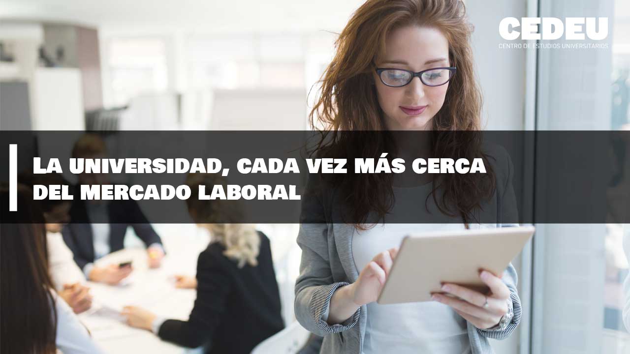 universidad, empresa, mercado laboral, cedeu