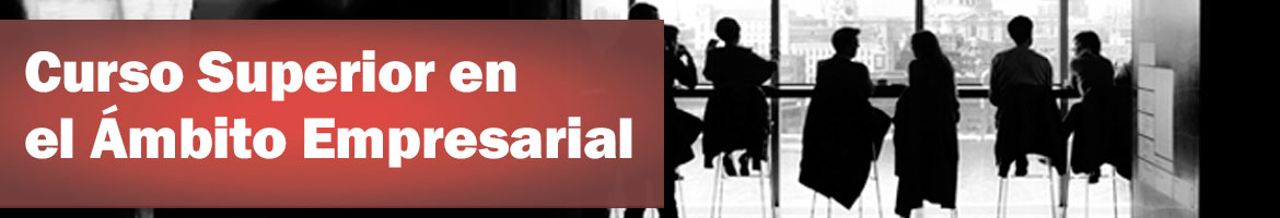 Curso Superior en el Ámbito Empresarial
